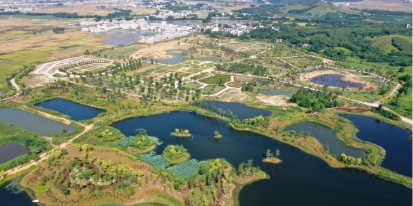 广西宾阳：湿地公园生态美