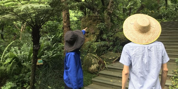 【现场】美极园林设计团队赴青秀山风景区进行项目现场交流