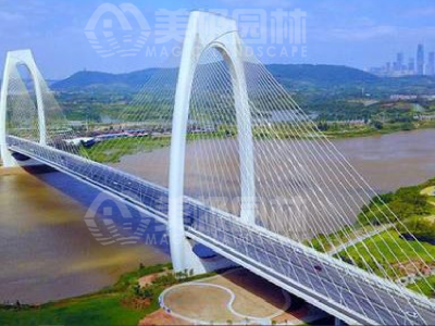 LQ大桥两侧边坡及南宁东盟WHY周边绿地景观改造提升工程