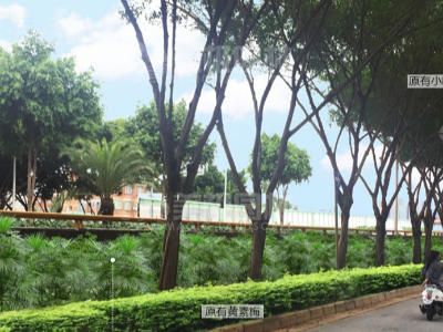 2017年南宁市JCQ快速路、主干路 沿线挡墙护坡绿化工程