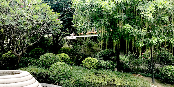 柬埔寨园私家花园绿化工程案例